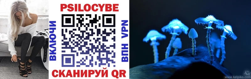 купить наркотики цена  Кирово-Чепецк  Псилоцибиновые грибы Psilocybe 