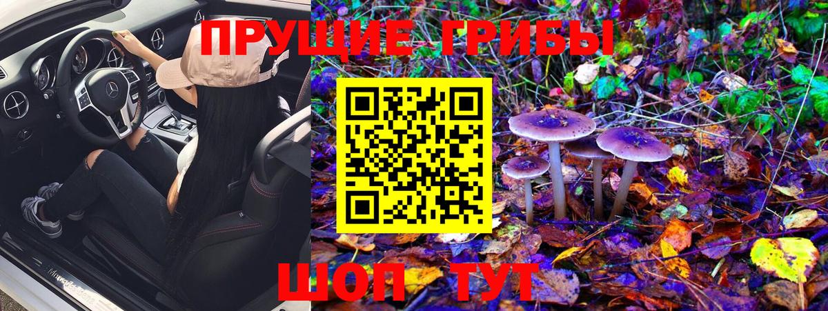 Галлюциногенные грибы Psilocybine cubensis  Галлюциногенные грибы Magic Shrooms  Вход с VPN  Кирово-Чепецк 
